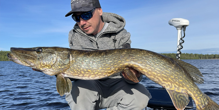 Lapland Pike