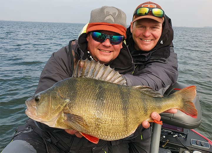 51cm okoun chycený Filipem Mátlem na nástrahu Westin Babybite SR vedenou na Westin W6 Finesse Shad 10-28g prutu