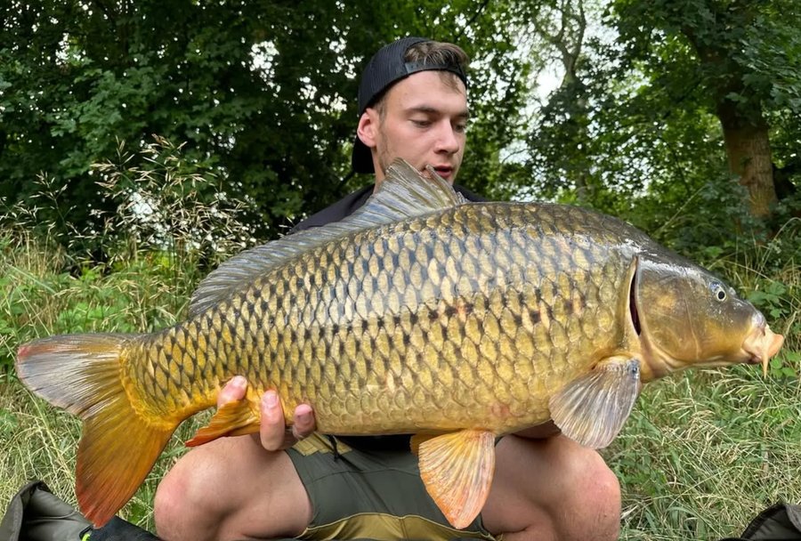 Vojtěch Vanouček z prodejny Tropic Fishing v Liberci s kaprem